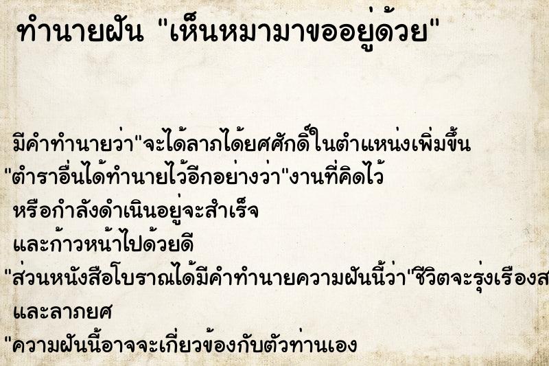 ทำนายฝัน เห็นหมามาขออยู่ด้วย  เลขนำโชค 