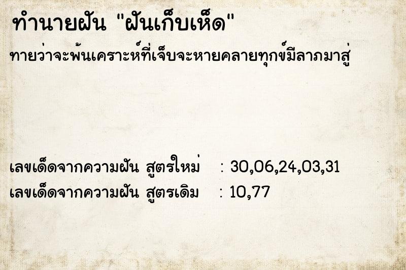 ทำนายฝัน ฝันเก็บเห็ด  เลขนำโชค 