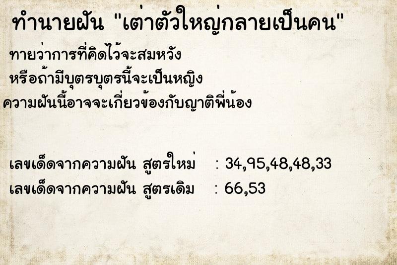 ทำนายฝัน เต่าตัวใหญ่กลายเป็นคน