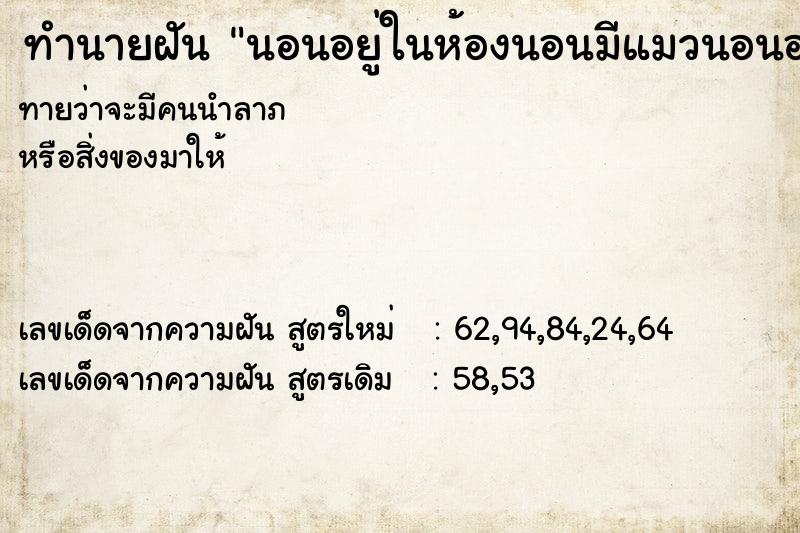 ทำนายฝัน นอนอยู่ในห้องนอนมีแมวนอนอยู่ด้วย