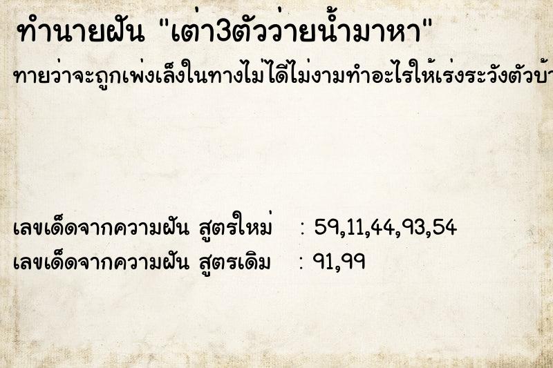 ทำนายฝัน เต่า3ตัวว่ายน้ำมาหา