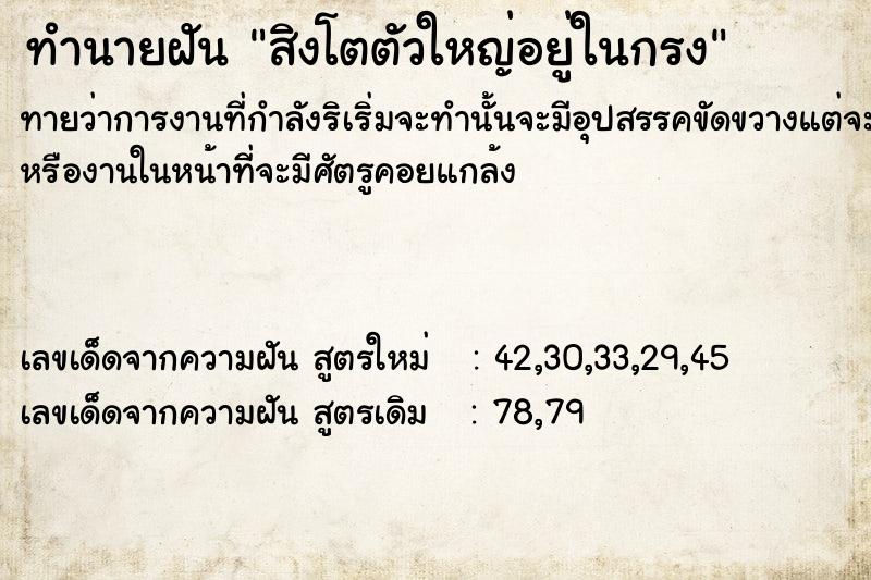 ทำนายฝัน สิงโตตัวใหญ่อยู่ในกรง