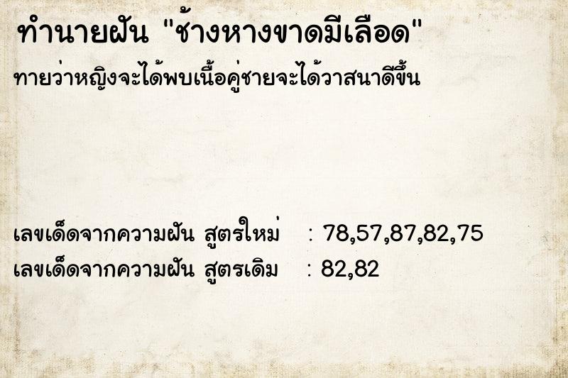 ทำนายฝัน ช้างหางขาดมีเลือด  เลขนำโชค 