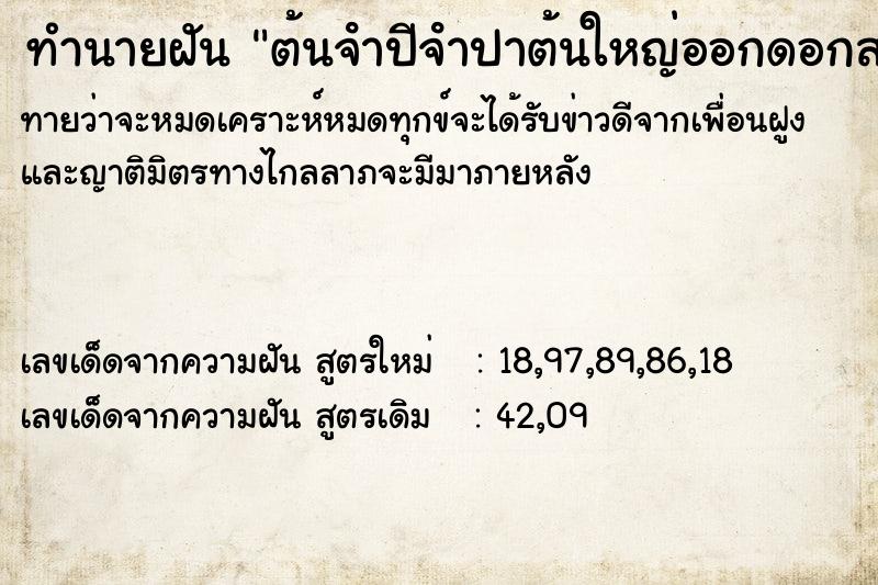 ทำนายฝัน ต้นจําปีจําปาต้นใหญ่ออกดอกสวยงามได้เก็บมาดม