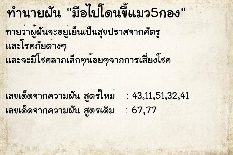 ทำนายฝัน มือไปโดนขี้แมว5กอง