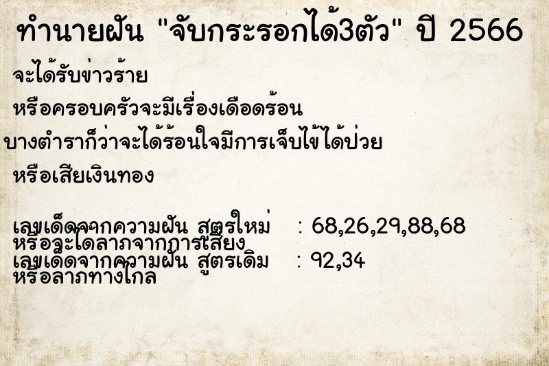 ทำนายฝัน จับกระรอกได้3ตัว