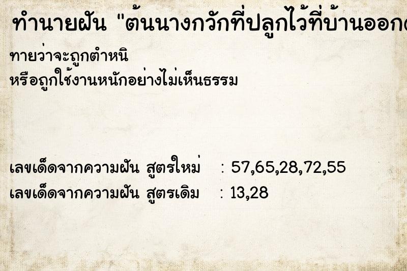 ทำนายฝัน ต้นนางกวักที่ปลูกไว้ที่บ้านออกดอก