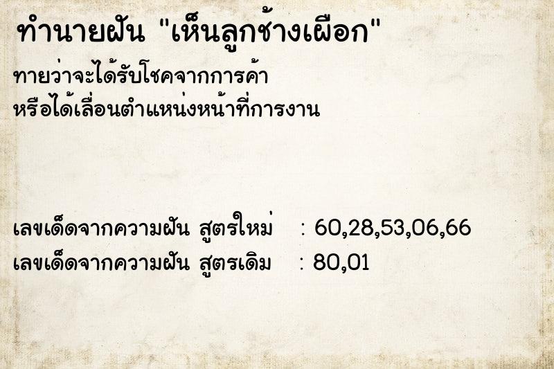 ทำนายฝัน เห็นลูกช้างเผือก