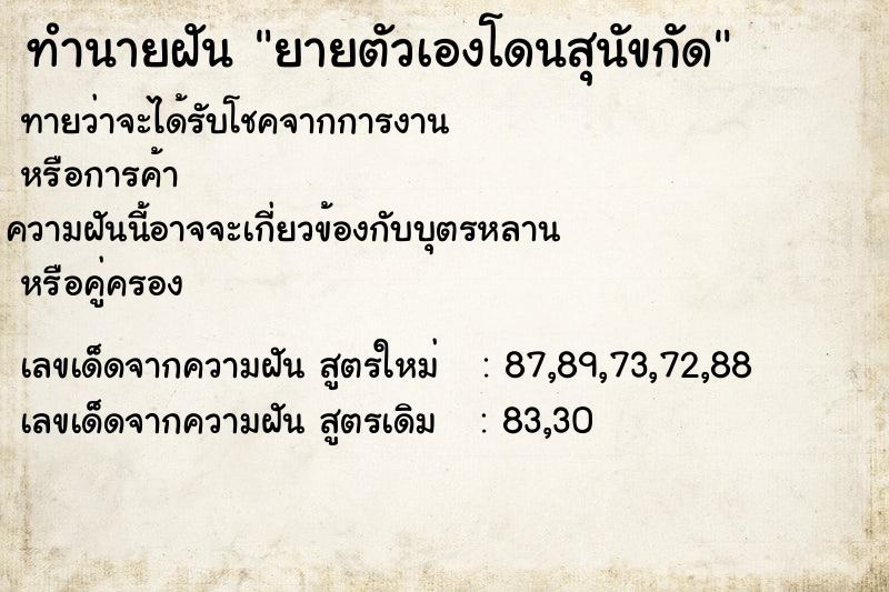 ทำนายฝัน ยายตัวเองโดนสุนัขกัด