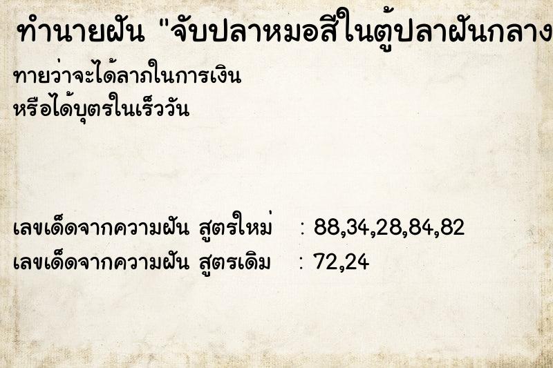 ทำนายฝัน จับปลาหมอสีในตู้ปลาฝันกลางวัน