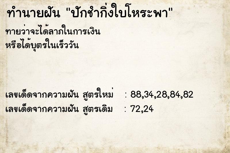 ทำนายฝัน ปักชำกิ่งใบโหระพา