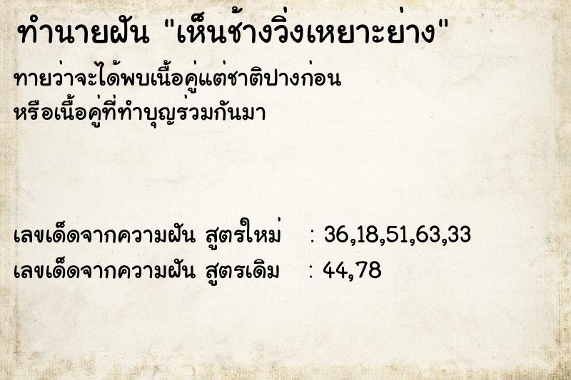 ทำนายฝัน เห็นช้างวิ่งเหยาะย่าง