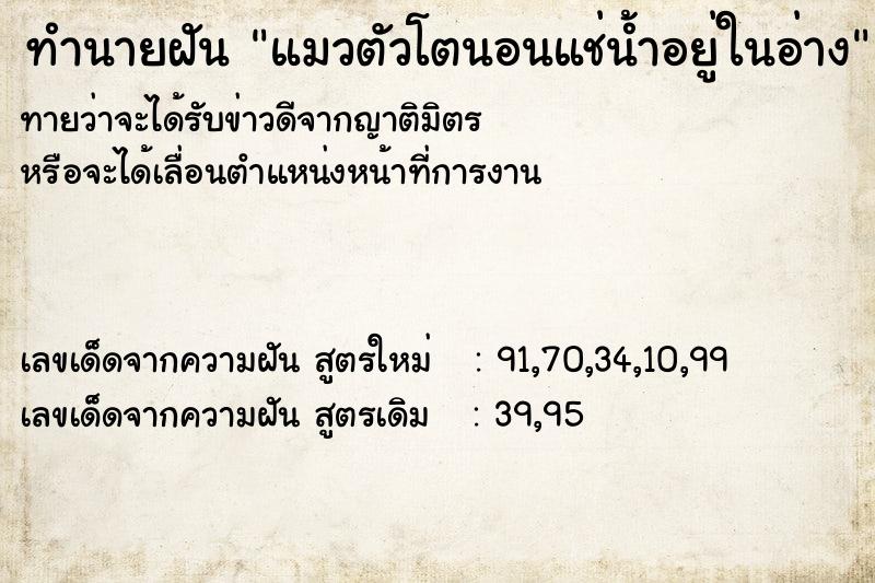 ทำนายฝัน แมวตัวโตนอนแช่น้ำอยู่ในอ่าง