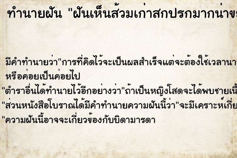 ทำนายฝัน ฝันเห็นส้วมเก่าสกปรกมากน่าขยะแขยง