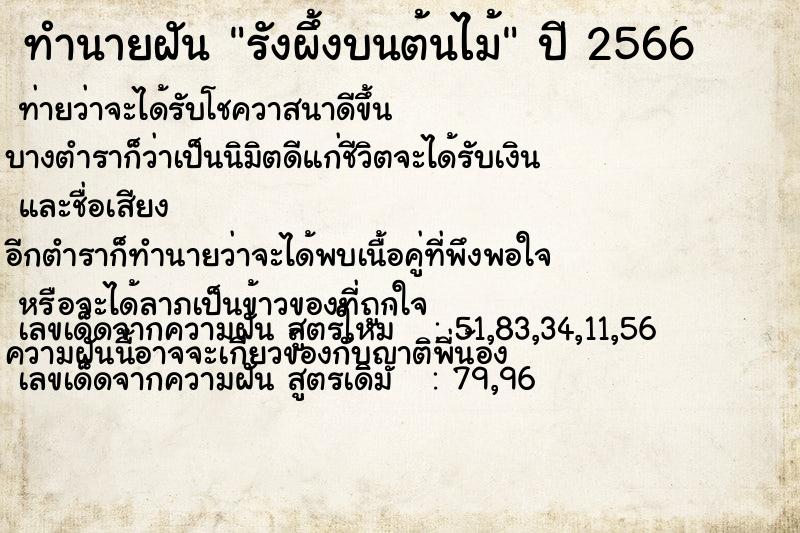 ทำนายฝัน รังผึ้งบนต้นไม้  เลขนำโชค 