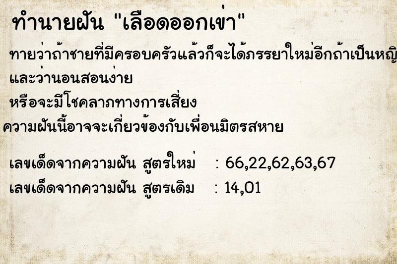 ทำนายฝัน เลือดออกเข่า ตำราโบราณ แม่นที่สุดในโลก