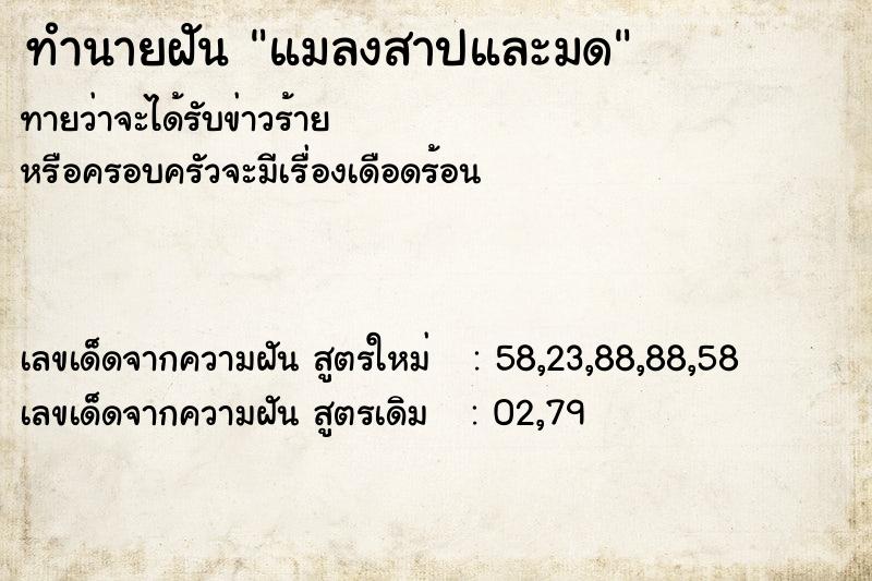 ทำนายฝัน แมลงสาปและมด  เลขนำโชค 