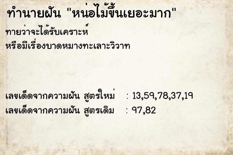 ทำนายฝัน หน่อไม้ขึ้นเยอะมาก  เลขนำโชค 