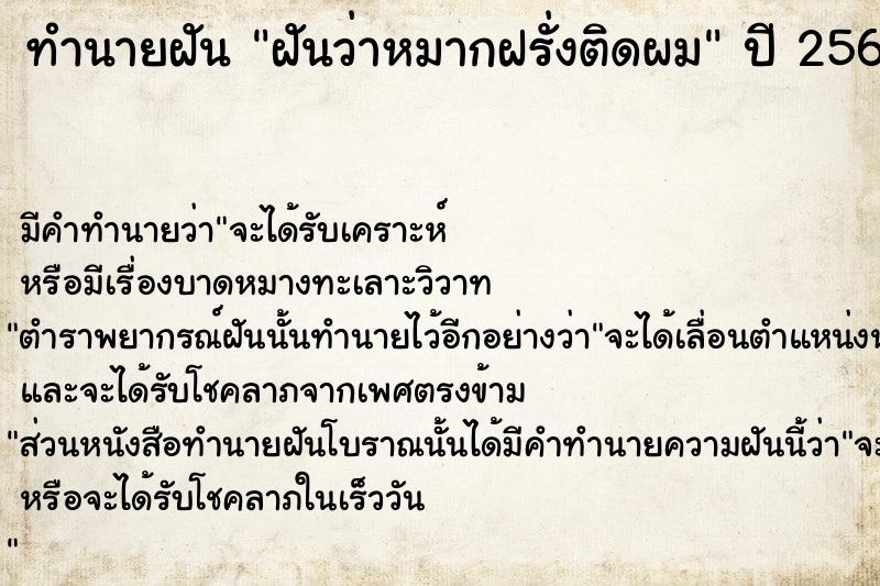 ทำนายฝัน ฝันว่าหมากฝรั่งติดผม  เลขนำโชค 