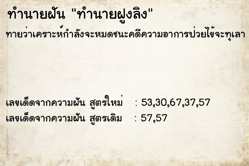 ทำนายฝัน ทำนายฝูงลิง