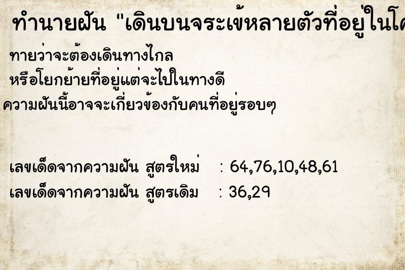 ทำนายฝัน เดินบนจระเข้หลายตัวที่อยู่ในโคลน