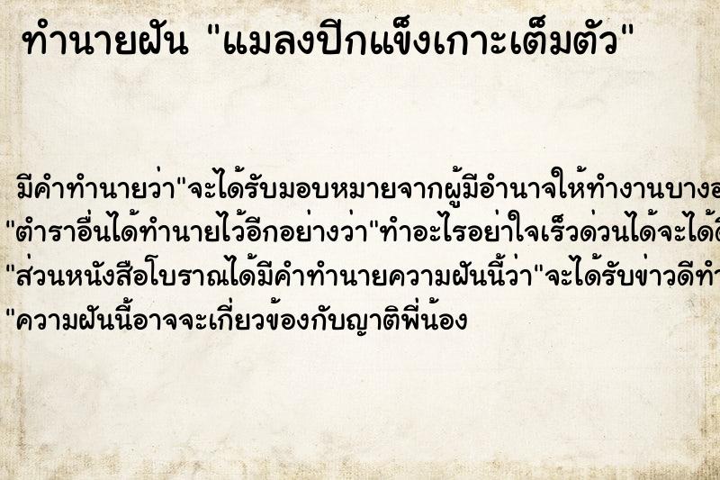 ทำนายฝัน แมลงปีกแข็งเกาะเต็มตัว