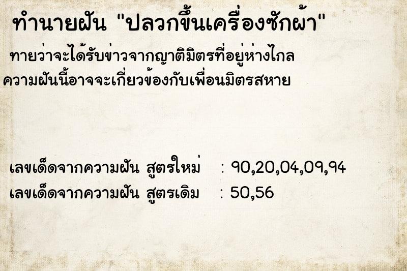 ทำนายฝัน ปลวกขึ้นเครื่องซักผ้า