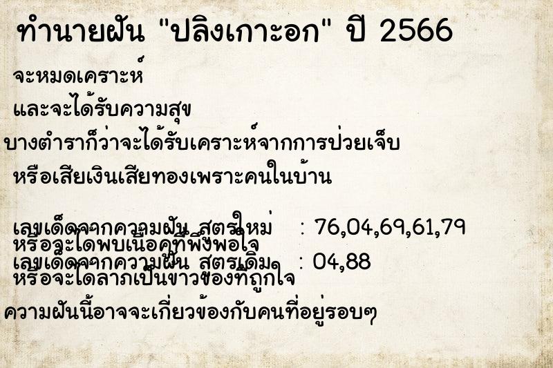 ทำนายฝัน ปลิงเกาะอก