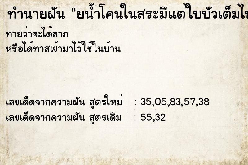 ทำนายฝัน ยน้ำโคนในสระมีแต่ใบบัวเต็มไปหมด