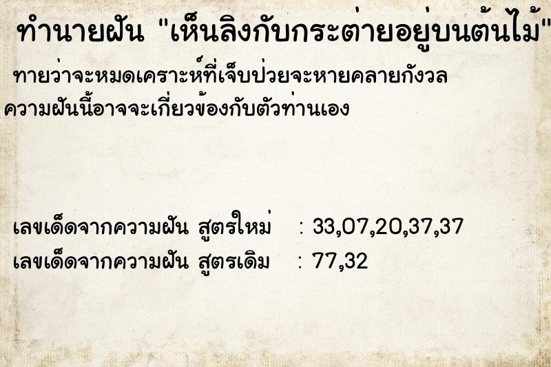 ทำนายฝัน เห็นลิงกับกระต่ายอยู่บนต้นไม้