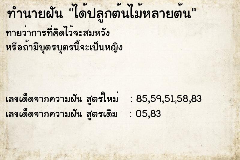 ทำนายฝัน ได้ปลูกต้นไม้หลายต้น