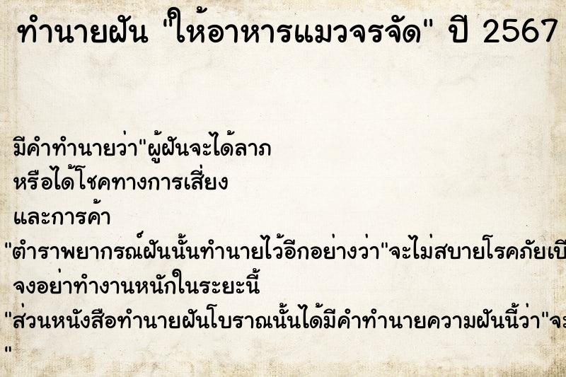 ทำนายฝัน ให้อาหารแมวจรจัด  เลขนำโชค 