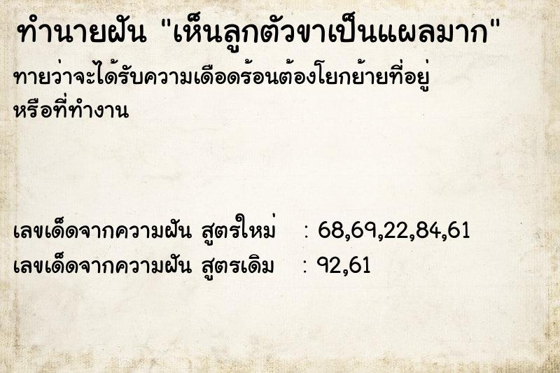 ทำนายฝัน เห็นลูกตัวขาเป็นแผลมาก