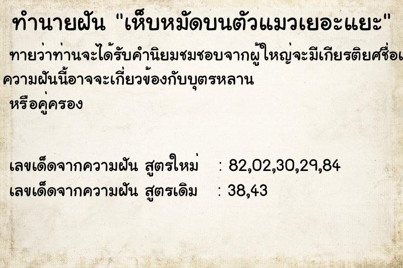 ทำนายฝัน เห็บหมัดบนตัวแมวเยอะแยะ