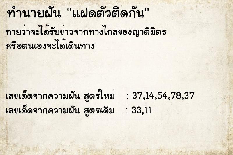 ทำนายฝัน แฝดตัวติดกัน