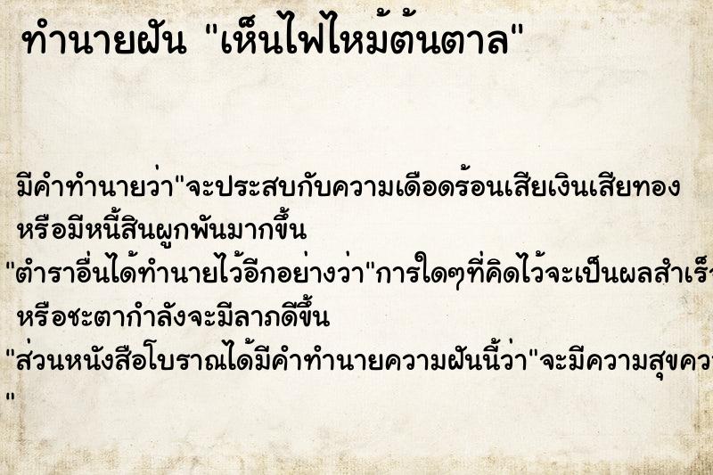 ทำนายฝัน เห็นไฟไหม้ต้นตาล