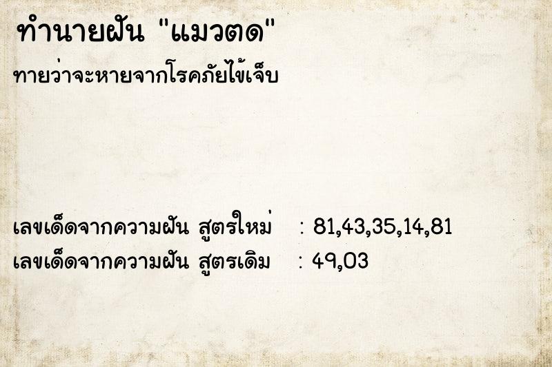 ทำนายฝัน แมวตด