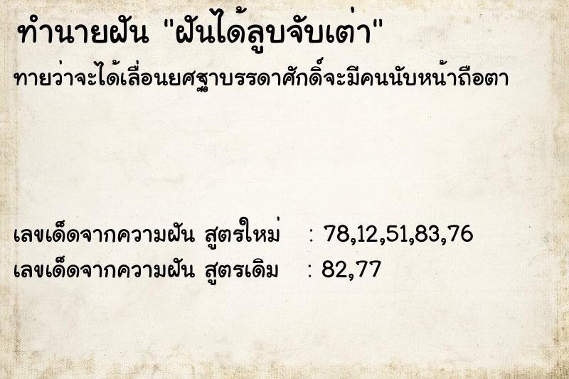 ทำนายฝัน ฝันได้ลูบจับเต่า