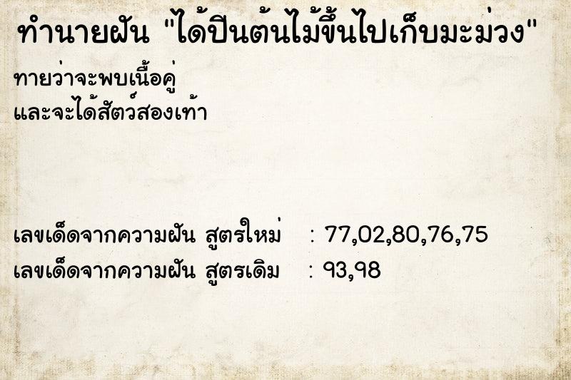 ทำนายฝัน ได้ปีนต้นไม้ขึ้นไปเก็บมะม่วง  เลขนำโชค 