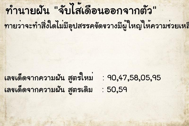 ทำนายฝัน จับไส้เดือนออกจากตัว