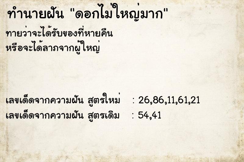 ทำนายฝัน ดอกไม่ใหญ่มาก