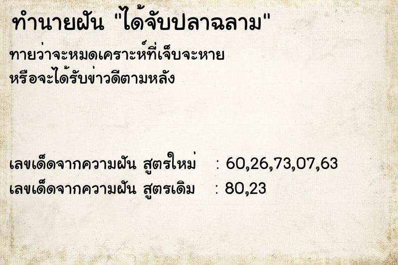 ทำนายฝัน ได้จับปลาฉลาม