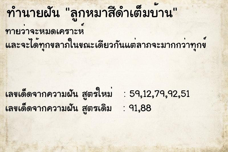 ทำนายฝัน ลูกหมาสีดำเต็มบ้าน