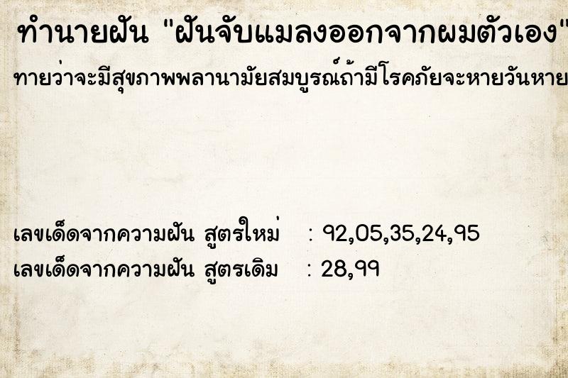 ทำนายฝัน ฝันจับแมลงออกจากผมตัวเอง