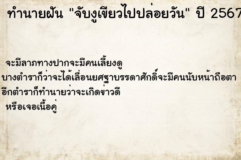 ทำนายฝัน จับงูเขียวไปปล่อยวัน