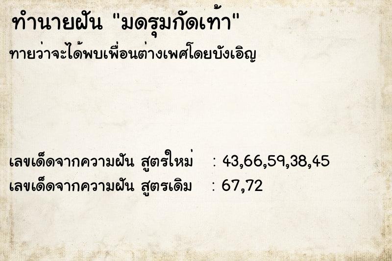 ทำนายฝัน มดรุมกัดเท้า  เลขนำโชค 