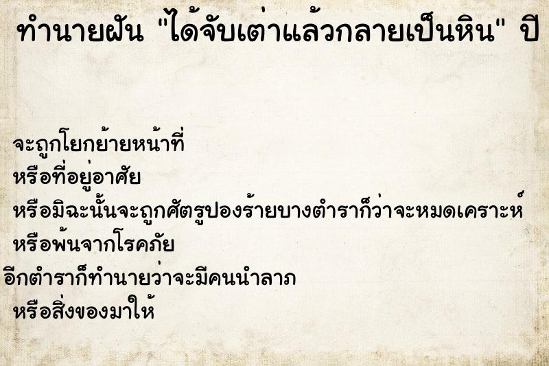 ทำนายฝัน ได้จับเต่าแล้วกลายเป็นหิน