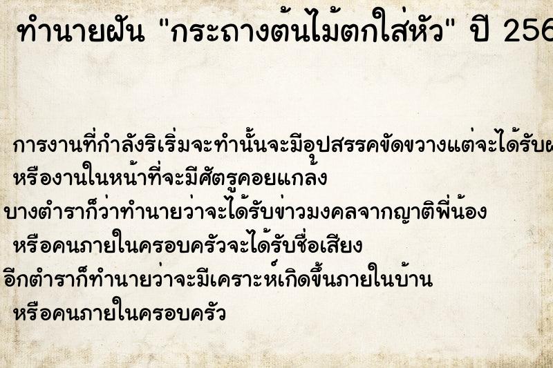 ทำนายฝัน กระถางต้นไม้ตกใส่หัว