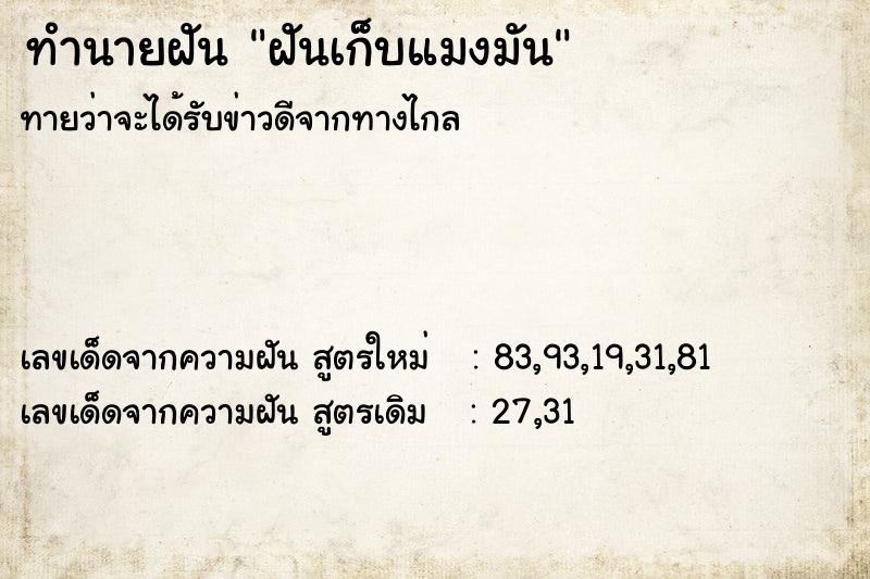 ทำนายฝัน ฝันเก็บแมงมัน