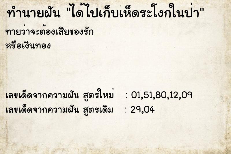 ทำนายฝัน ได้ไปเก็บเห็ดระโงกในป่า